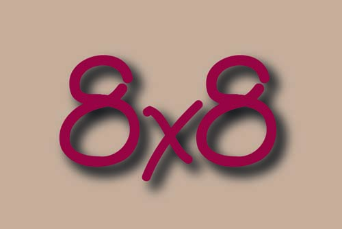 8 x 8 