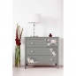 Preview: Prima Decor Transfers - Natural Wonders