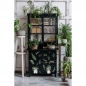 Preview: Prima Decor Transfers - Botanical Snippets