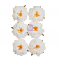 Preview: Prima Marketing Mulberry Paper Flowers - Floral Song/Spring Abstract 6 Stk.