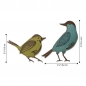 Preview: Sizzix Tim Holtz DIE Set - Feathered Friends