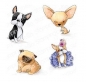 Preview: Stamping Bella - Bostons, Pug and Chihuahua