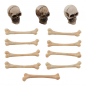 Preview: Tim Holtz idea-ology - Skulls + Bones