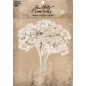 Preview: Tim Holtz idea-ology - Bouquet