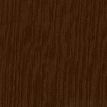 Bazzill Grasscloth CS " Mocha Divine "
