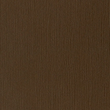 Bazzill Grasscloth CS " Carob "