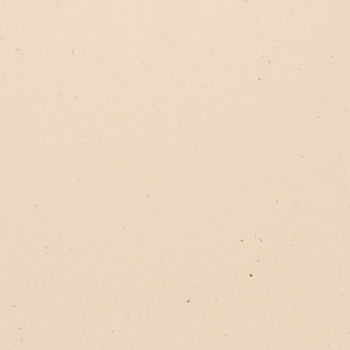 Bazzill Speckle Cardstock 12 x 12 Travertine