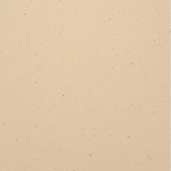Bazzill Speckle Cardstock 12 x 12 Natural Stone
