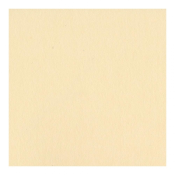 Bazzill glatter CS "Pigment"