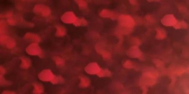 Go Press Heat Activated Foil - Red Dotted Holgoram - Matte Finish