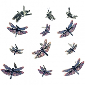 Brads - Dragonfly
