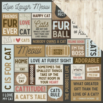 Kaisercraft - Pawfect Collection - Meow 12"