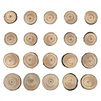 Tim Holtz Idea-Ology - Wood Slices