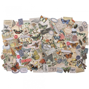 Tim Holtz Ephemera Pack - Field Notes