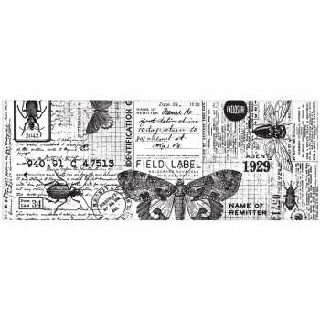 Tim Holtz Collage Paper -Entomology