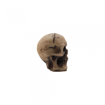 Tim Holtz idea-ology - Skulls