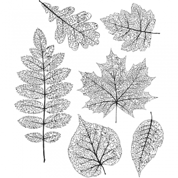 Tim Holtz Stempelset - Pressed Foliage