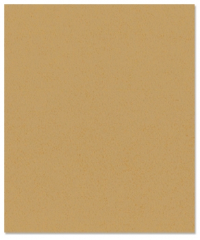 Bazzill Orange Peel CS " Tanner "