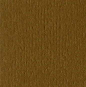 Bazzill Orange Peel CS " Java "