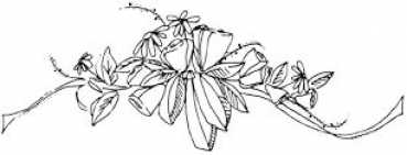 Jen`s flowers ( top)