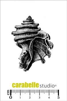 Carabelle Studio - Mini Coquillage #2 (Muschel Nr.2)