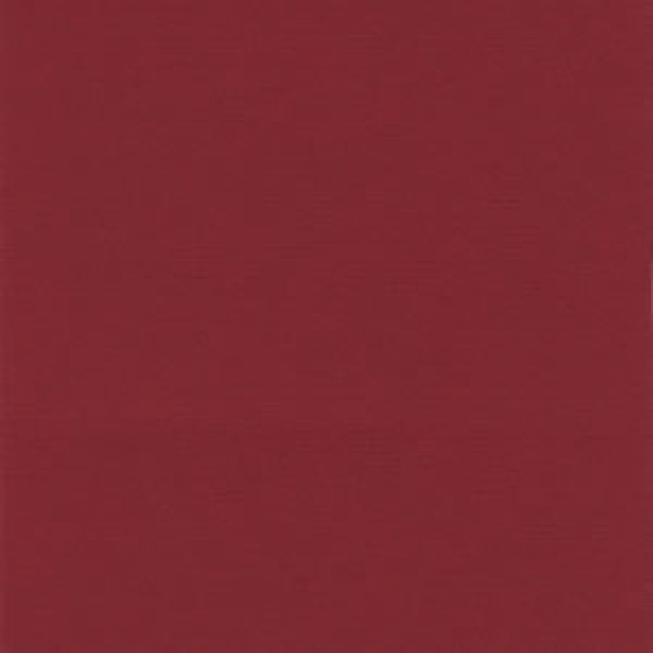 Bazzill glatter CS " Pomegranate Splash "