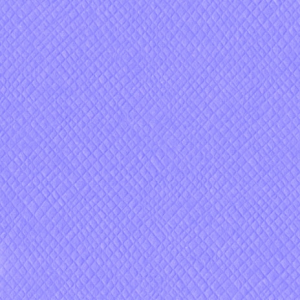 Bazzill Criss Cross CS " Fairy Dust "