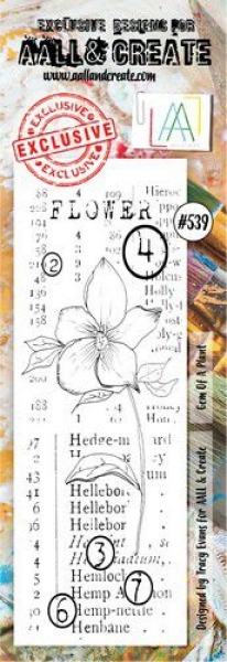 AALL & CREATE Clear Stamps - Gem Of A Plant #539