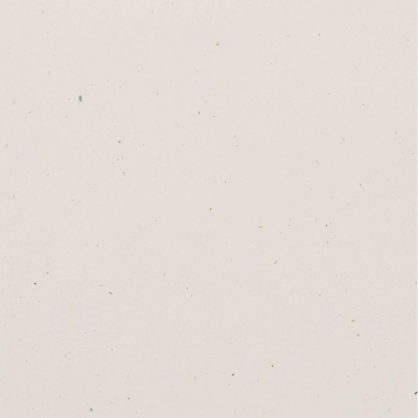 Bazzill Speckle Cardstock 12 x 12 Pebble Beach