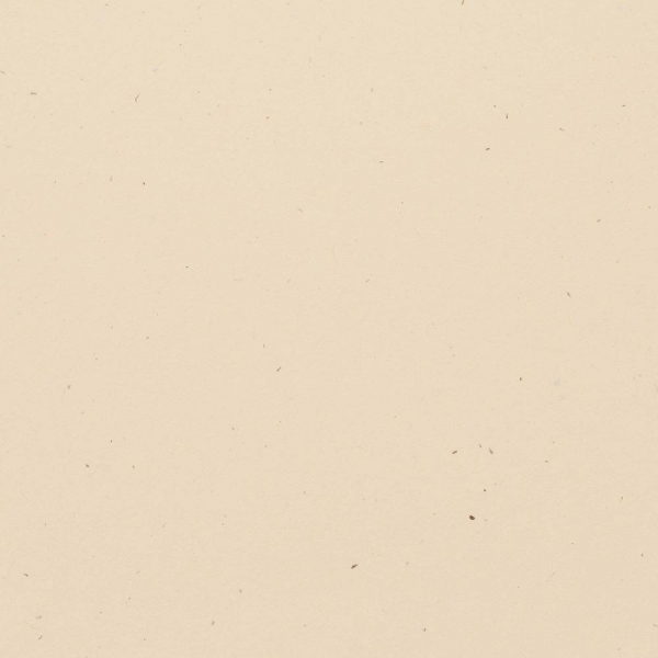 Bazzill Speckle Cardstock 12 x 12 Travertine