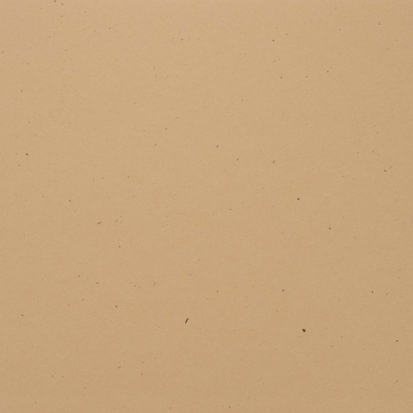 Bazzill Speckle Cardstock 12 x 12 Sand Dollar