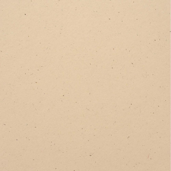 Bazzill Speckle Cardstock 12 x 12 Natural Stone