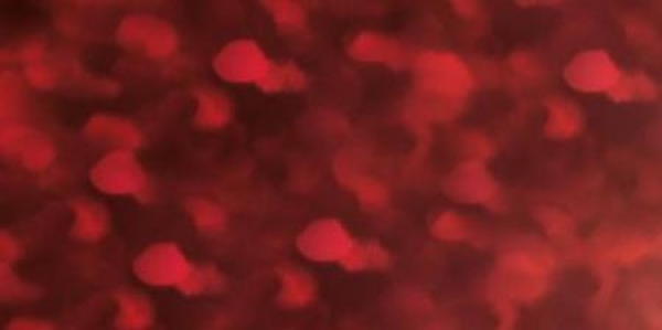 Go Press Heat Activated Foil - Red Dotted Holgoram - Matte Finish