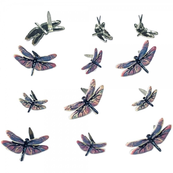 Brads - Dragonfly