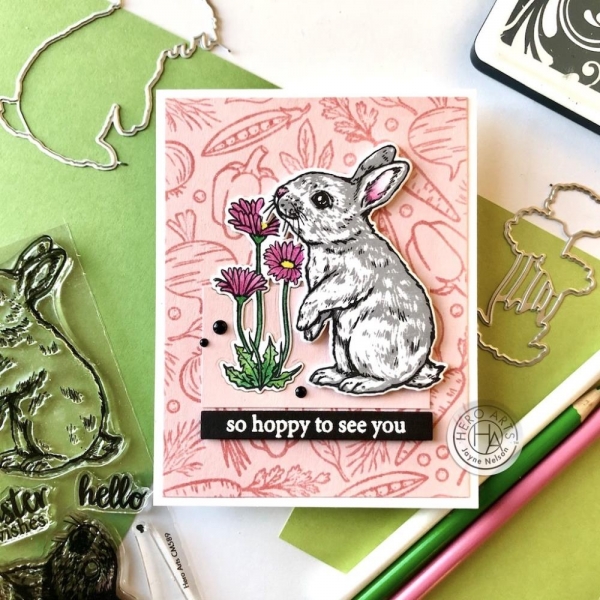 Hero Arts Clearstamps - Color Layering Bunny