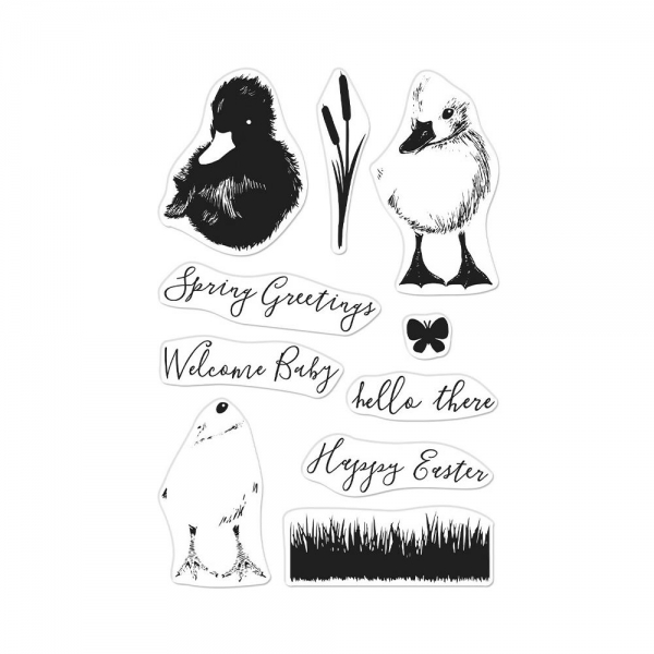 Hero Arts Clearstamps - Color Layering Duckling