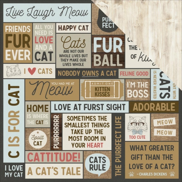 Kaisercraft - Pawfect Collection - Meow 12"