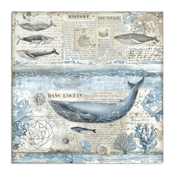 Stamperia - Arctic Antarctic - Whale 12" x 12"
