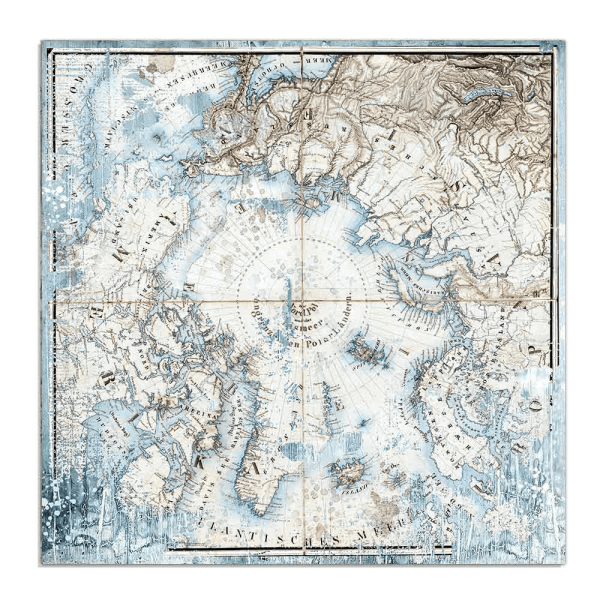 Stamperia - Arctic Antarctic - Artic 12" x 12"