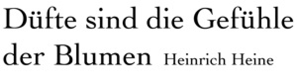 Stamping-Fairies - Düfte sind die Gefühle der Blumen