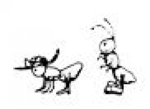 Aunt Annie & Jr. (2er Set)