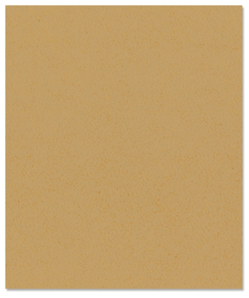 Bazzill Orange Peel CS " Tanner "