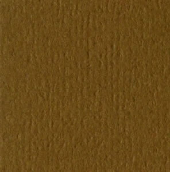 Bazzill Orange Peel CS " Java "