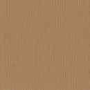 Bazzill Grasscloth CS " Iced Coccoa "