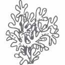 Couture Creations - Seaside and me Clear Stamp - Coral