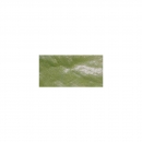 Nuvo Mousse -Forest Green