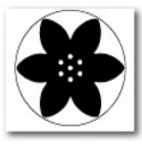 Martha Stewart Punch-Poinsettia