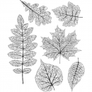 Tim Holtz Stempelset - Pressed Foliage