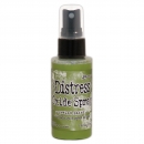 Distress Oxide Spray - Peeled Paint