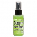 Distress Oxide Spray - Twisted Citron
